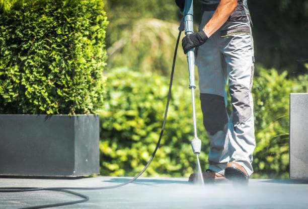 Best Factory Floor Cleaning  in Renton, WA