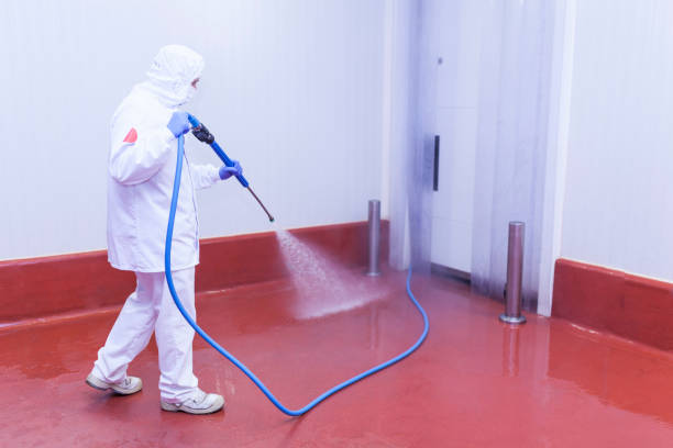 Best Playground Equipment Cleaning  in Renton, WA