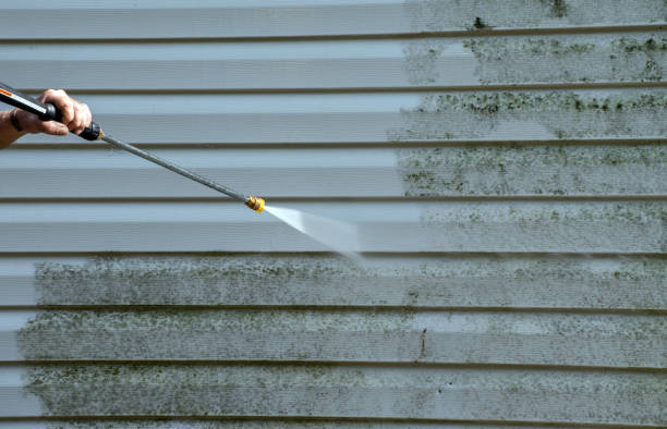 Professional  Pressure Washing Services in Renton, WA