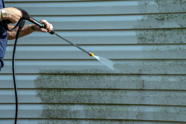 Best House Exterior Washing  in Renton, WA