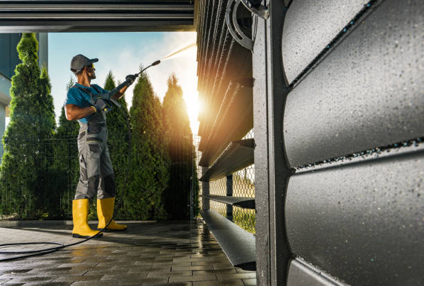 Best Solar Panel Cleaning  in Renton, WA