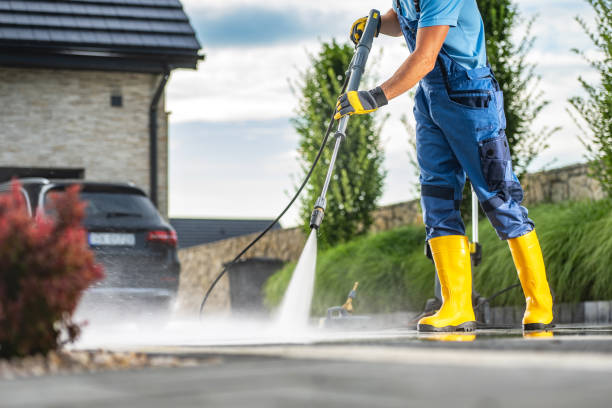 Best Gutter Cleaning  in Renton, WA